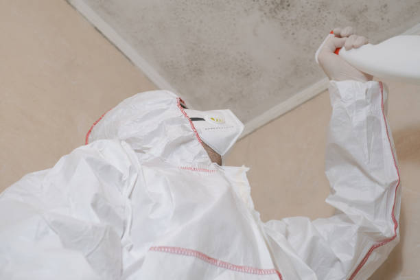 Best Commercial Mold Inspection  in Hiller, PA